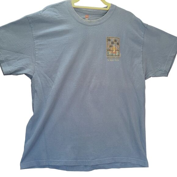Hanes Mens Graphic T-Shirt Blue Size XL 100% Cotton Short Sleeve Pullover - Picture 1 of 12